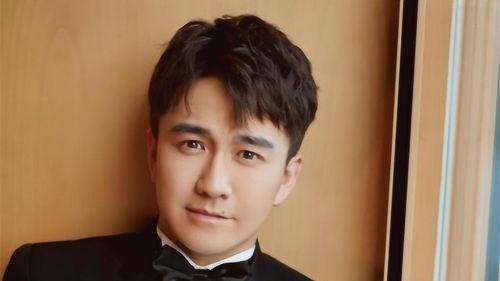 翟天临 电视剧,揭开电视剧背后的精彩故事